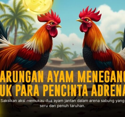 Mengenal Sabung Ayam SV388: Jenis Ayam, Odds, dan Provider Terpercaya