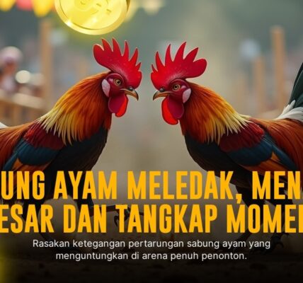 Mengenal Jenis Ayam Aduan di SV388, Taruhan Sabung Ayam Paling Populer