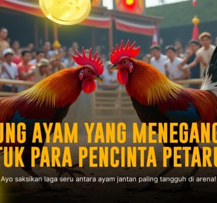 Rahasia SV388: Mengenal Jenis Ayam Aduan dan Peluang Menang Sabung Ayam