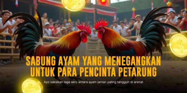 Rahasia SV388: Mengenal Jenis Ayam Aduan dan Peluang Menang Sabung Ayam