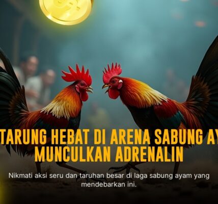 Mengenal Ayam Bangkok sebagai Raja Sabung Ayam SV388