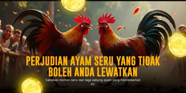 Mengenal Jenis Ayam Aduan SV388 yang Mendominasi Sabung Ayam Online
