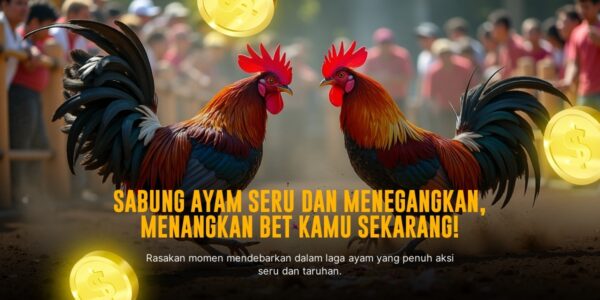 Ketahui Odds dan Jenis Ayam Aduan di SV388 Sabung Ayam