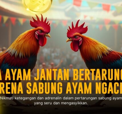 Mengenal Ayam Bangkok: Raja di Arena Sabung Ayam SV388