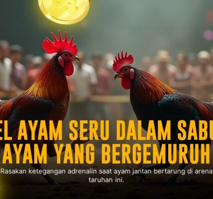 Mengenal Jenis Ayam Aduan Populer di Sabung Ayam SV388