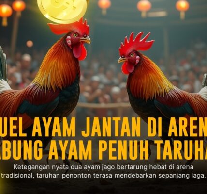 Taruhan Sabung Ayam dengan SV388: Mengenal Jenis Ayam Aduan dan Oddsnya