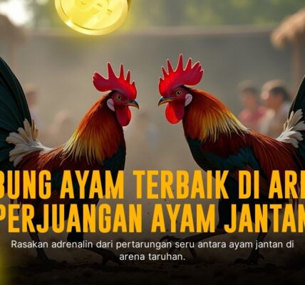 Rahasia Sabung Ayam SV388: Jenis Ayam, Odds, dan Strategi Menang