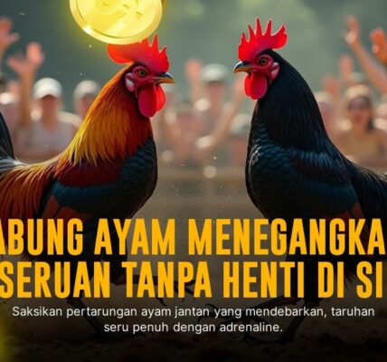 Mengenal Jenis Ayam Aduan SV388: Raja Sabung Ayam Online
