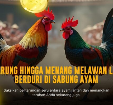 Keunikan Jenis Ayam Laga SV388 dalam Sabung Ayam Online