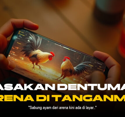 Mengenal Jenis Ayam Petarung di Sabung Ayam SV388