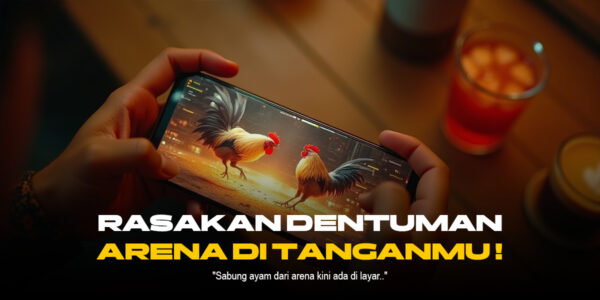 Mengenal Jenis Ayam Petarung di Sabung Ayam SV388