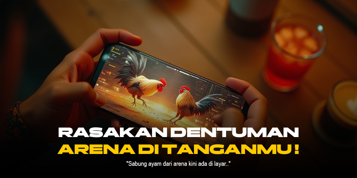 Mengenal Jenis Ayam Petarung di Sabung Ayam SV388