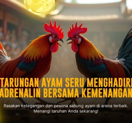 Mengenal Jenis Ayam Aduan dan Odds di SV388