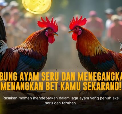 Ketahui Odds dan Jenis Ayam Aduan di SV388 Sabung Ayam