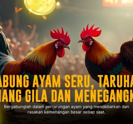 Menguak Rahasia Ayam Bangkok yang Jadi Raja Sabung Ayam SV388