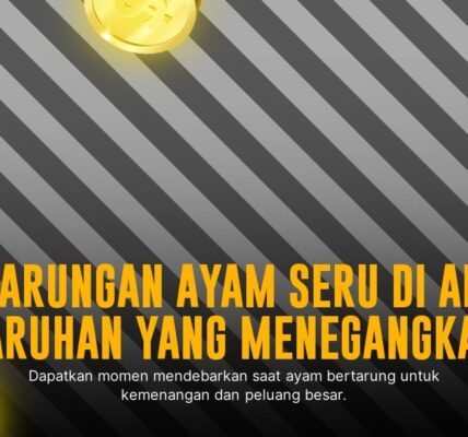 Kenali Jenis Ayam Aduan Paling Populer di SV388