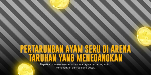 Kenali Jenis Ayam Aduan Paling Populer di SV388