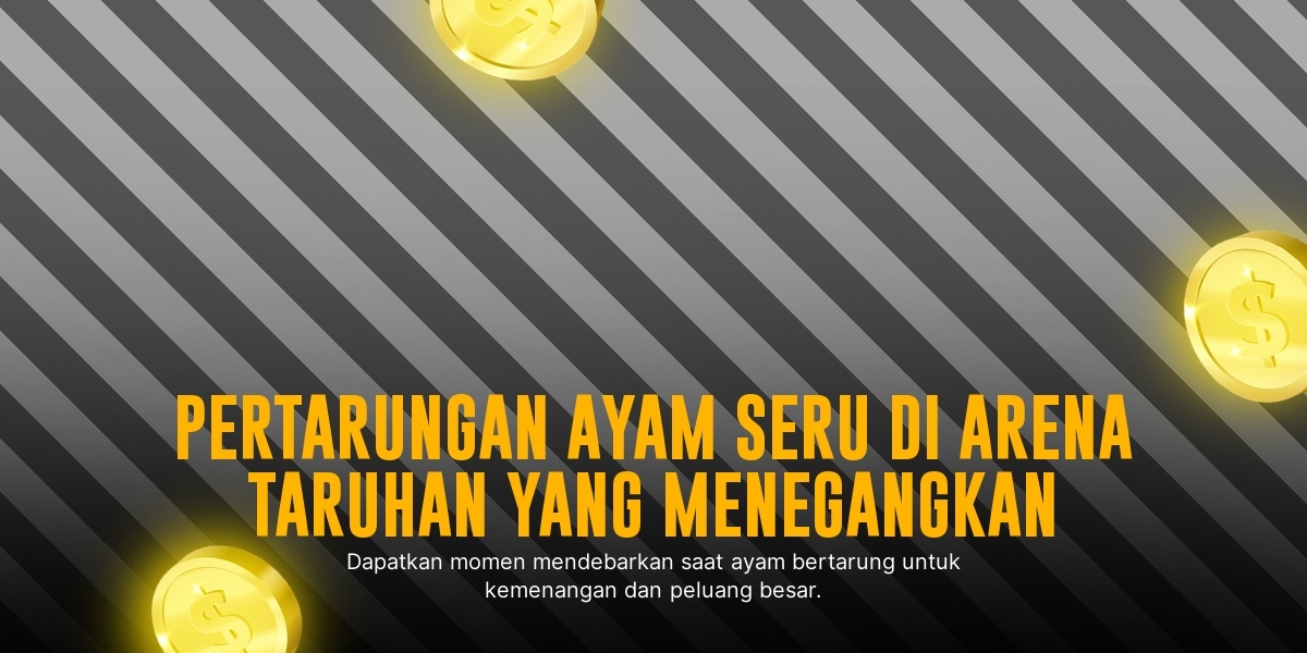 Kenali Jenis Ayam Aduan Paling Populer di SV388